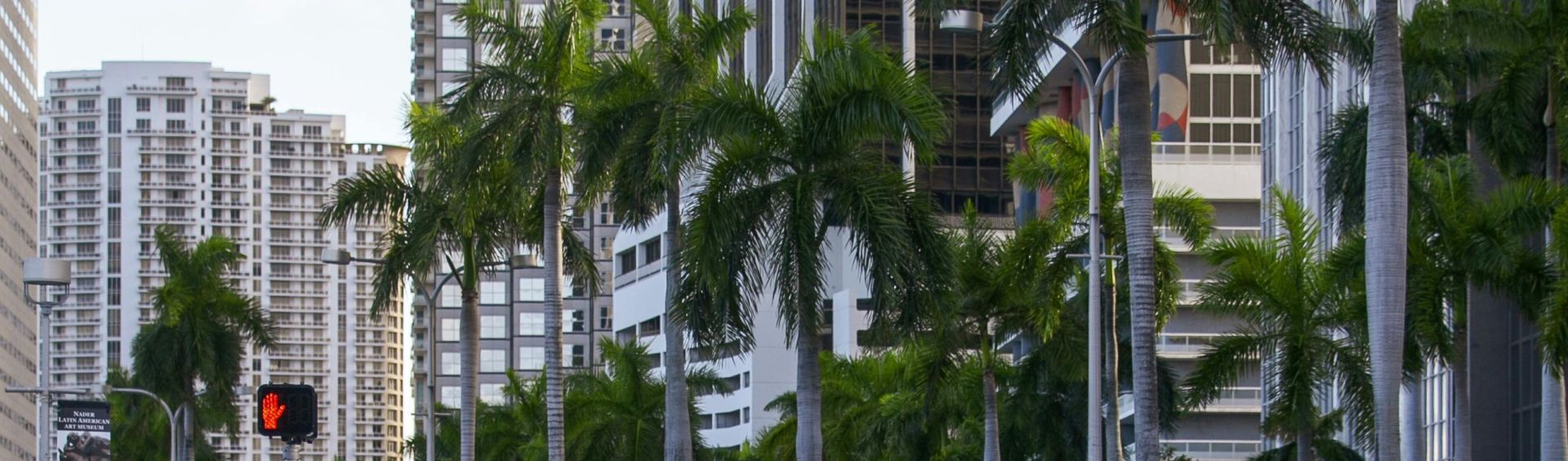 A vibrant reflection of Miami's downtown skyline and parked cars on a sunny day.